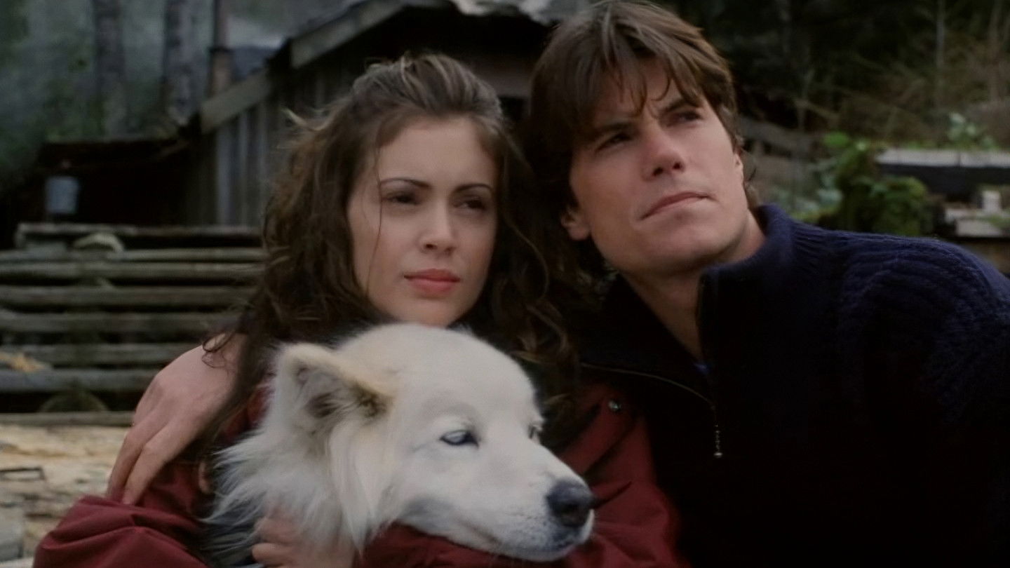 Backdrop for To Brave Alaska