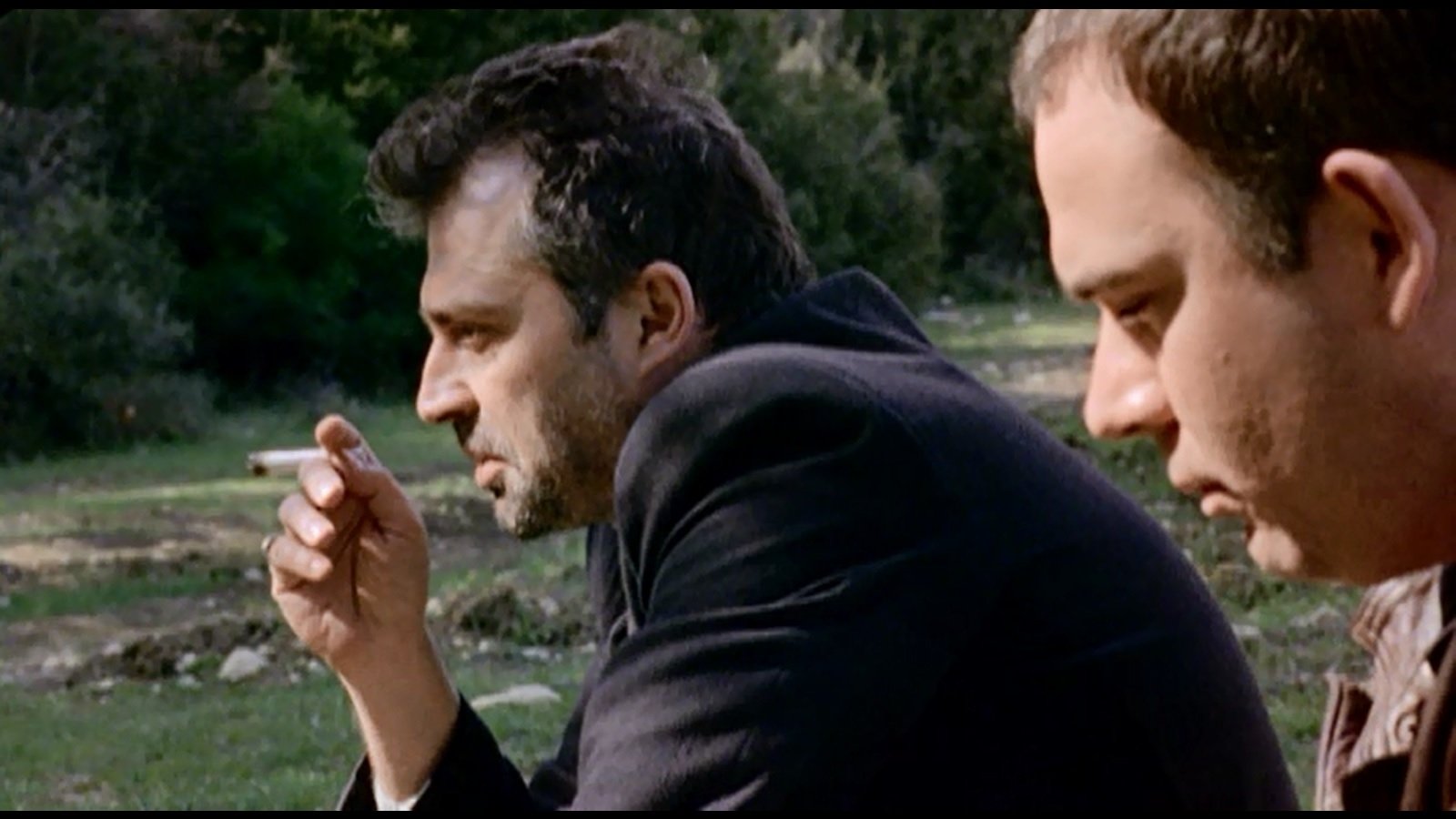 Backdrop for Innocence