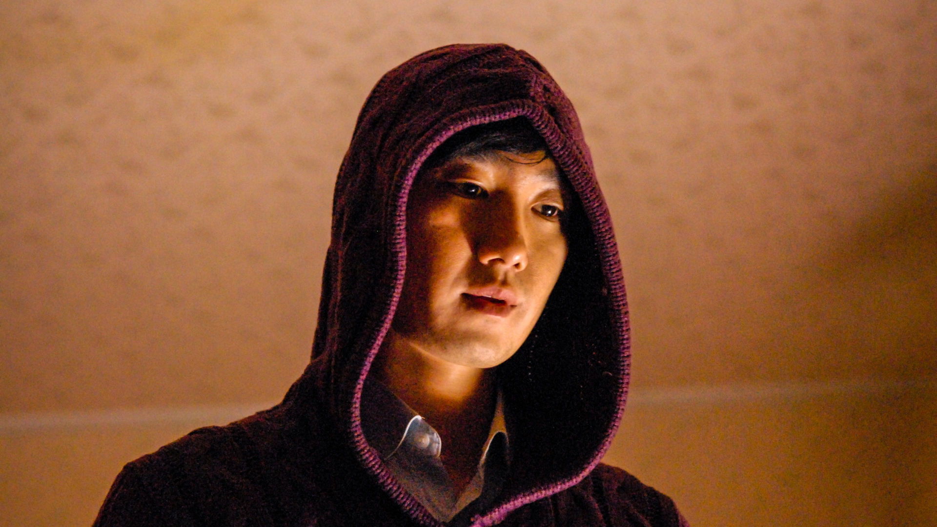 Backdrop for End of Animal