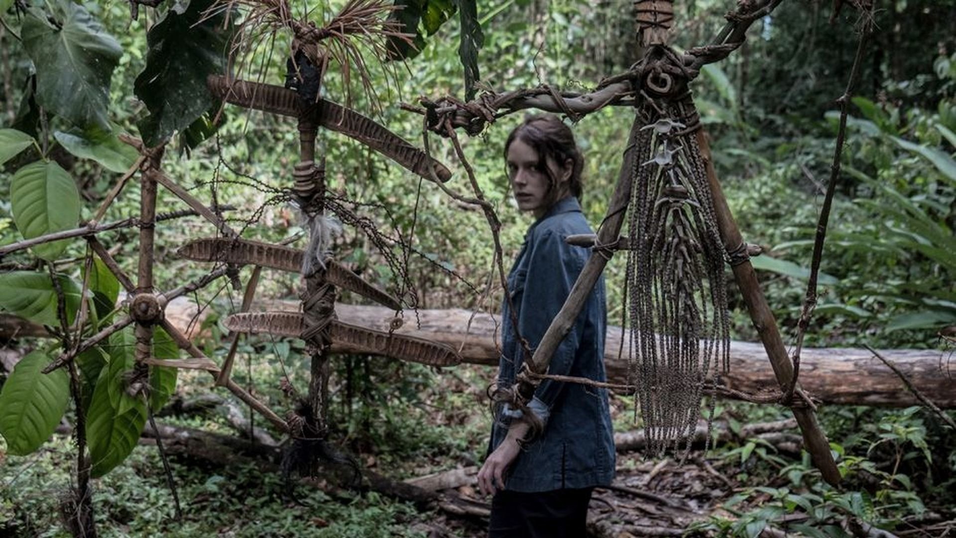 Backdrop for Iskander