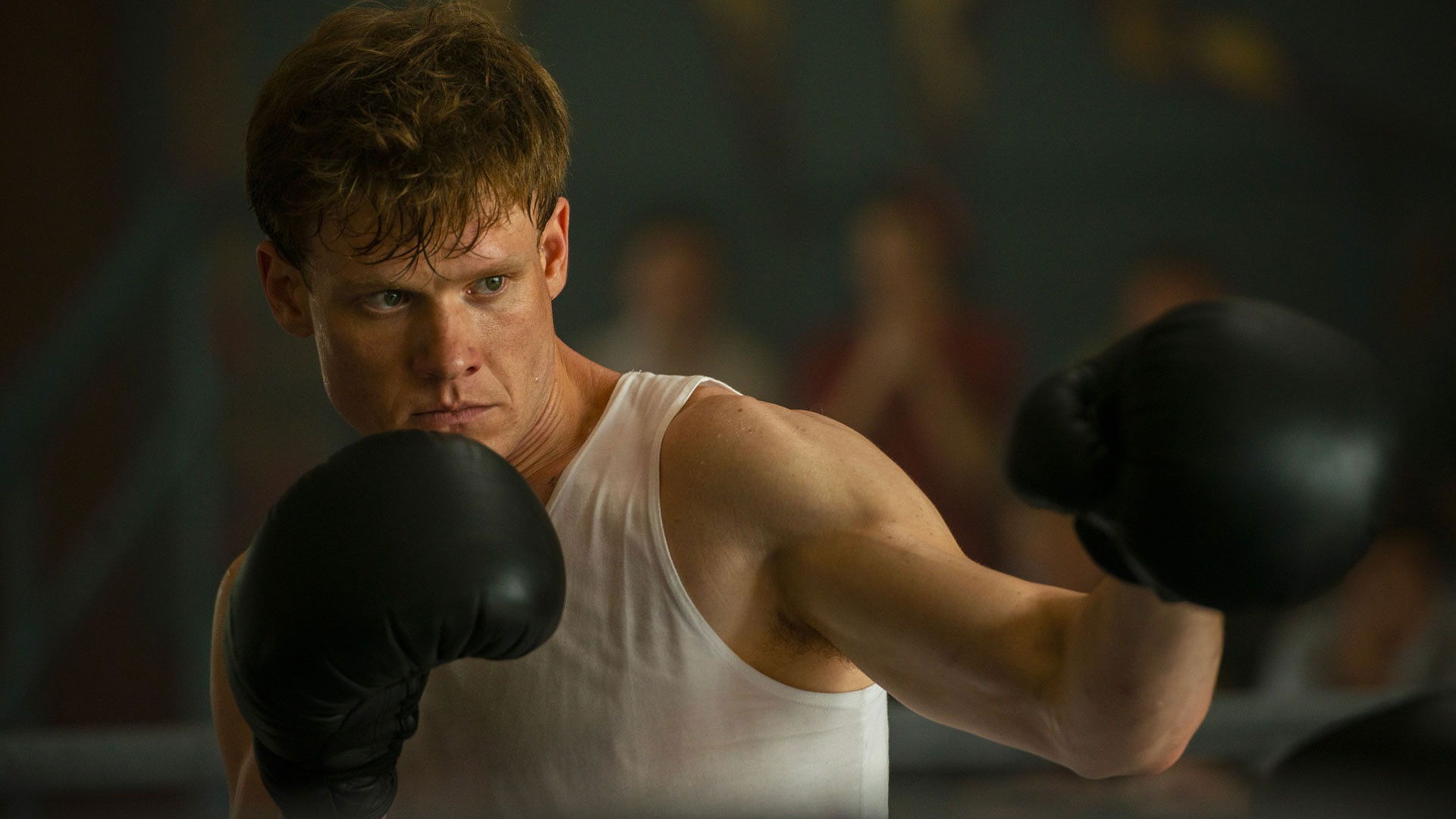 Backdrop for Mr. Knockout