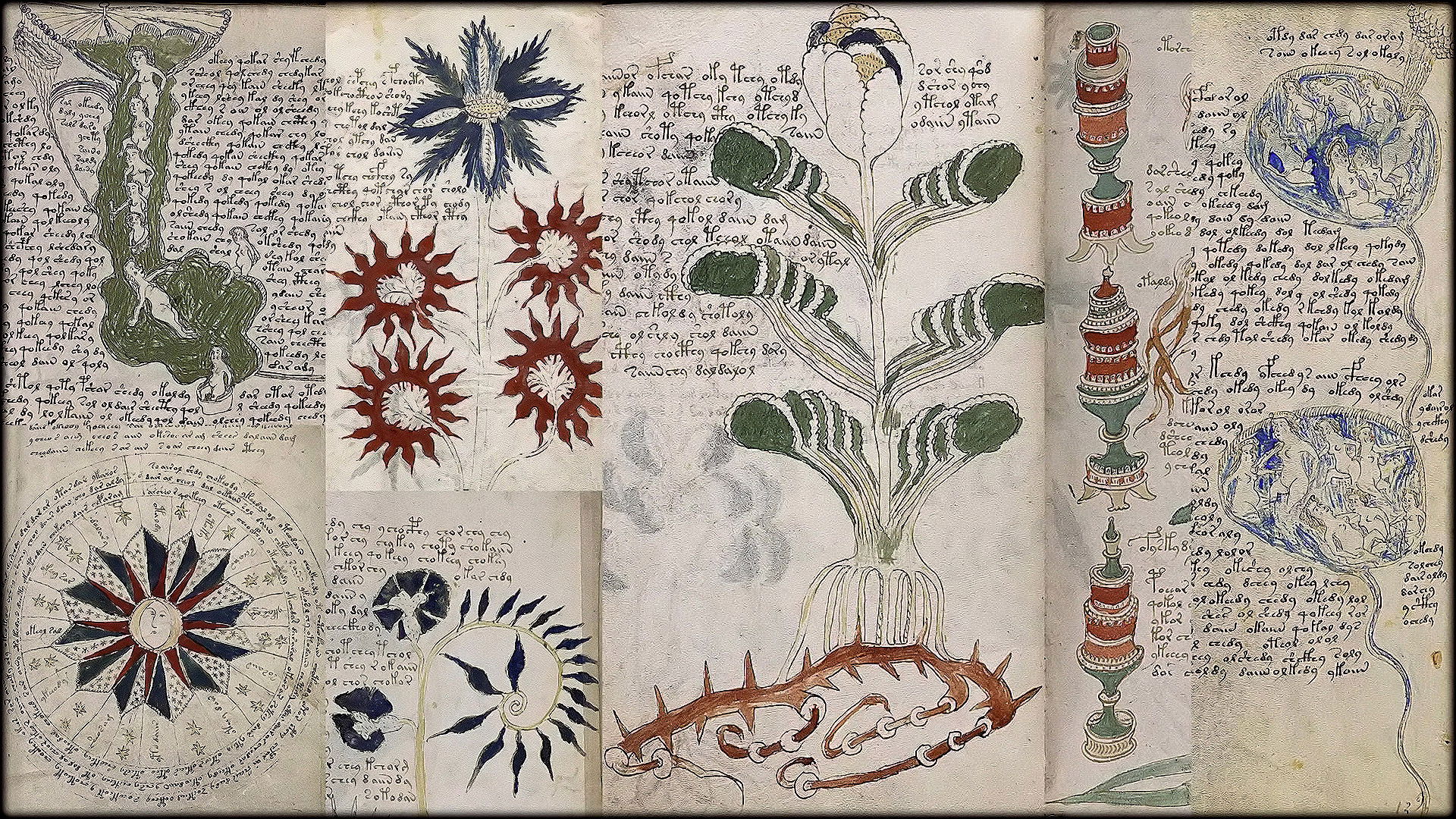 Backdrop for Das Voynich-Manuskript - Die geheimnisvollste Handschrift der Welt