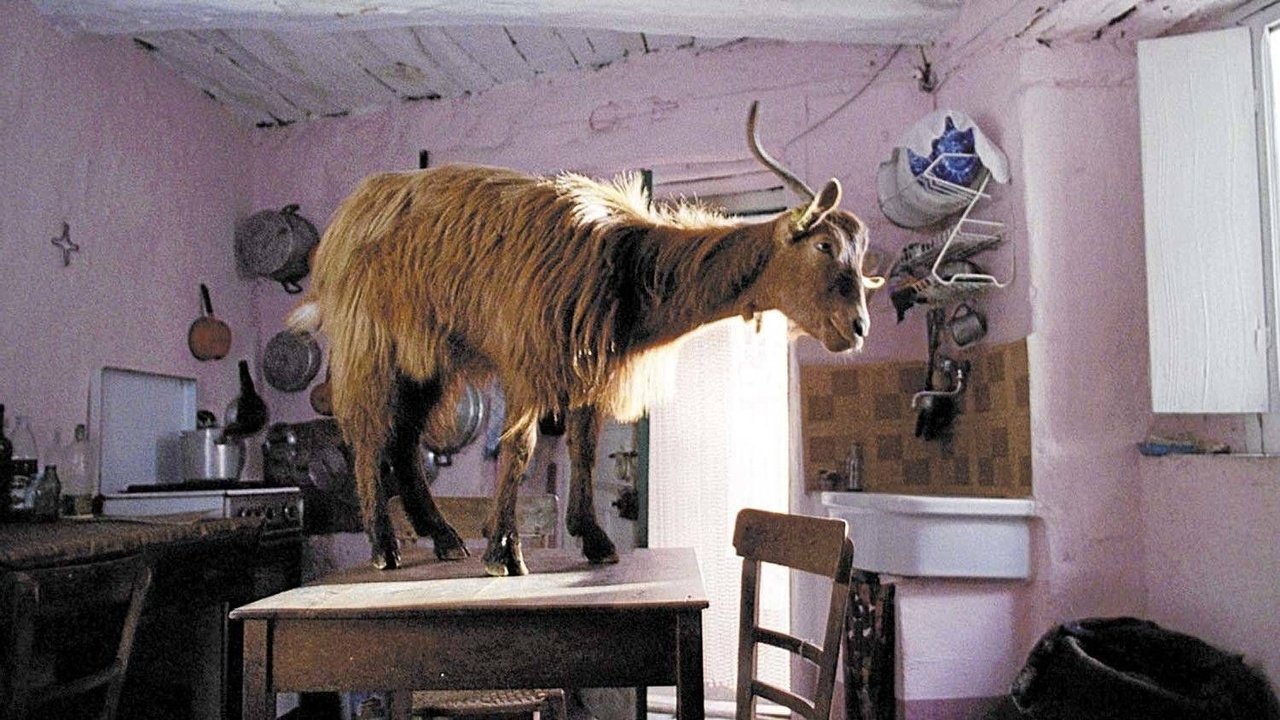 Backdrop for The Four Times