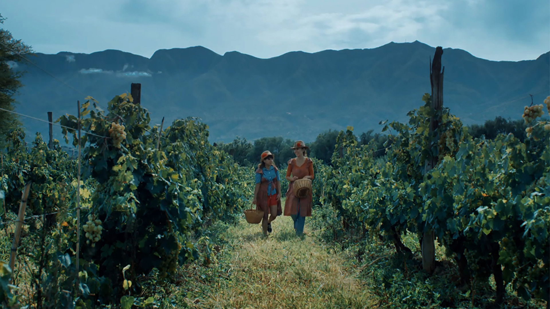 Backdrop for The Southern House