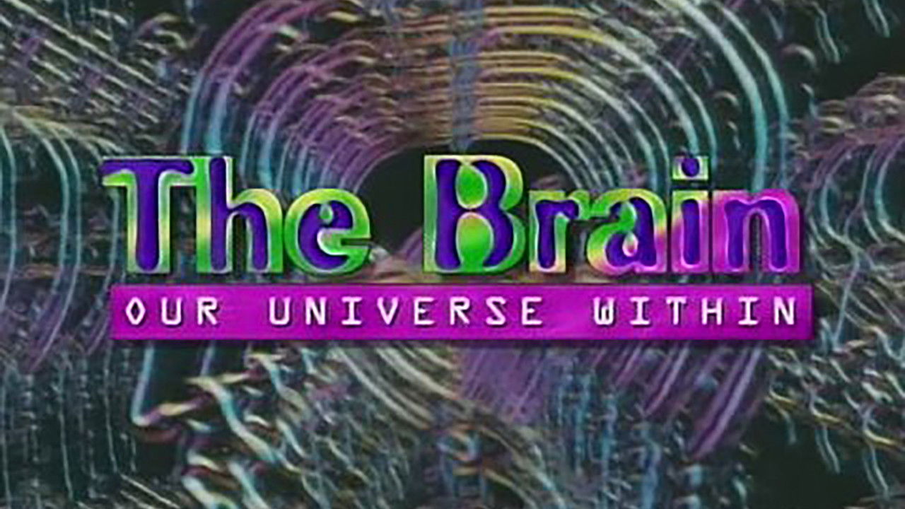 Backdrop for The Brain: Our Universe Within