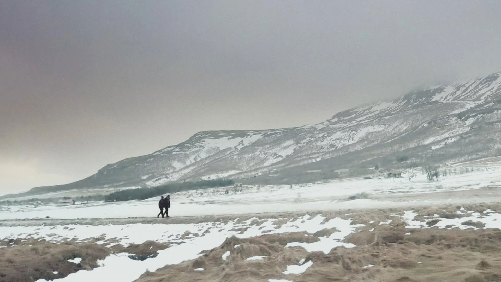 Backdrop for Saving Elodie