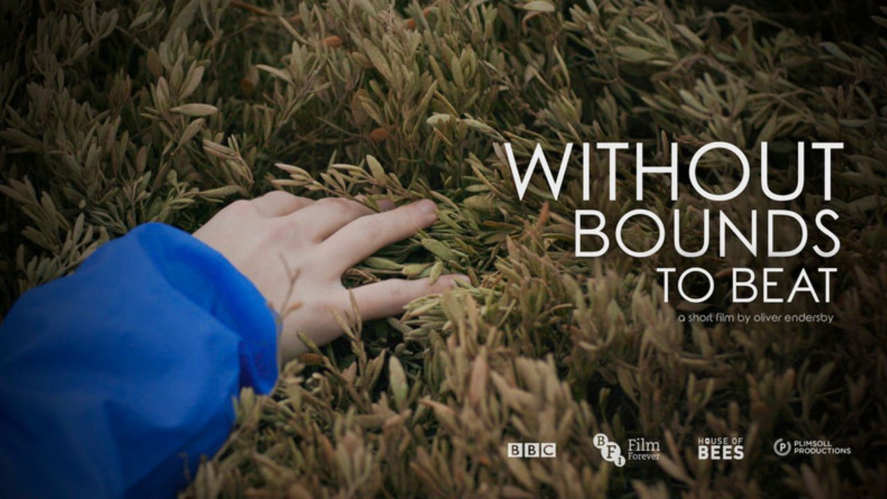 Backdrop for Without Bounds to Beat