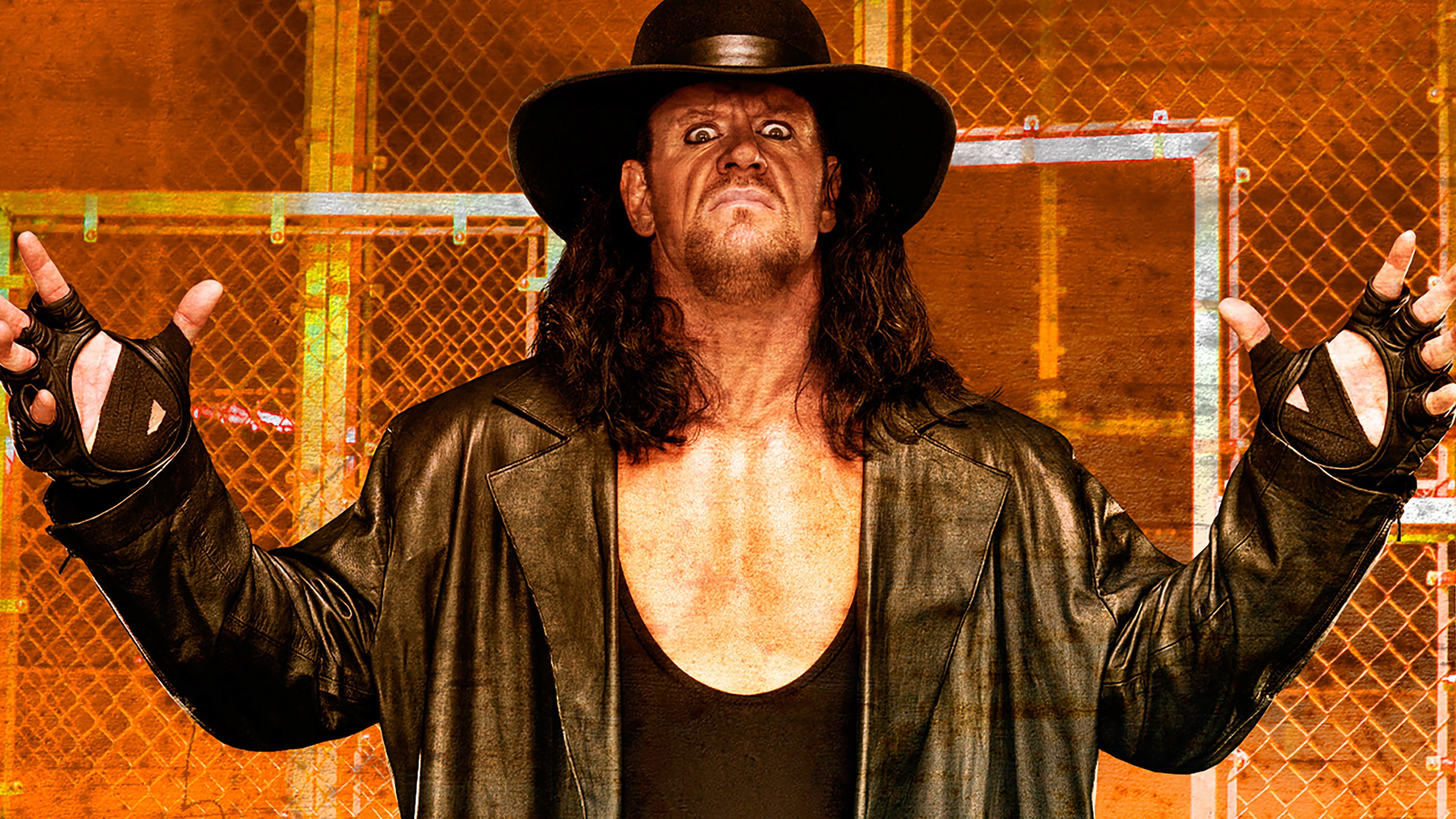 Backdrop for WWE Hell in a Cell 2009