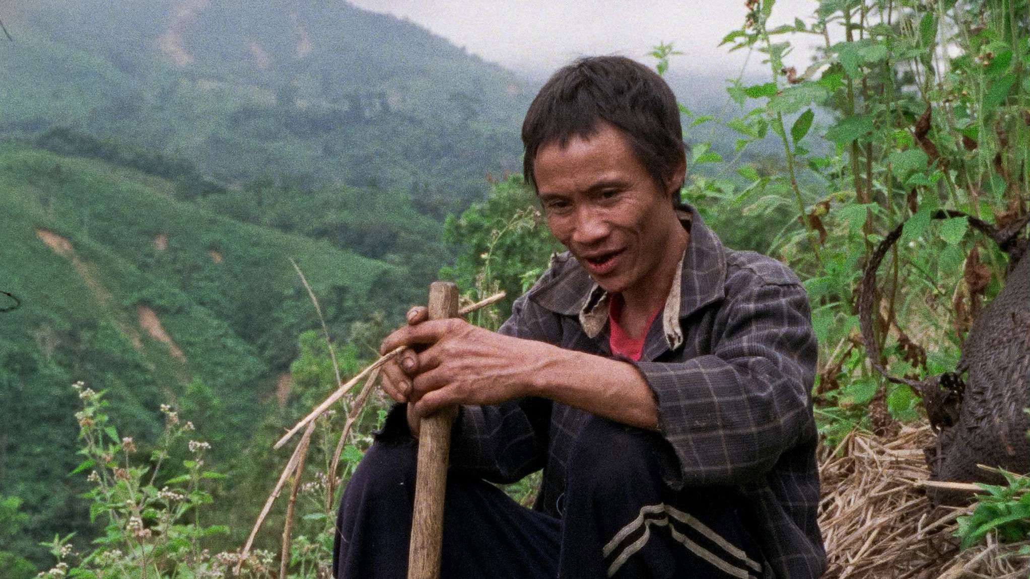 Backdrop for The Tree House