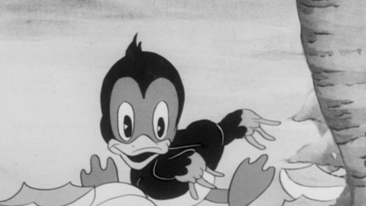 Backdrop for Chicken Jitters