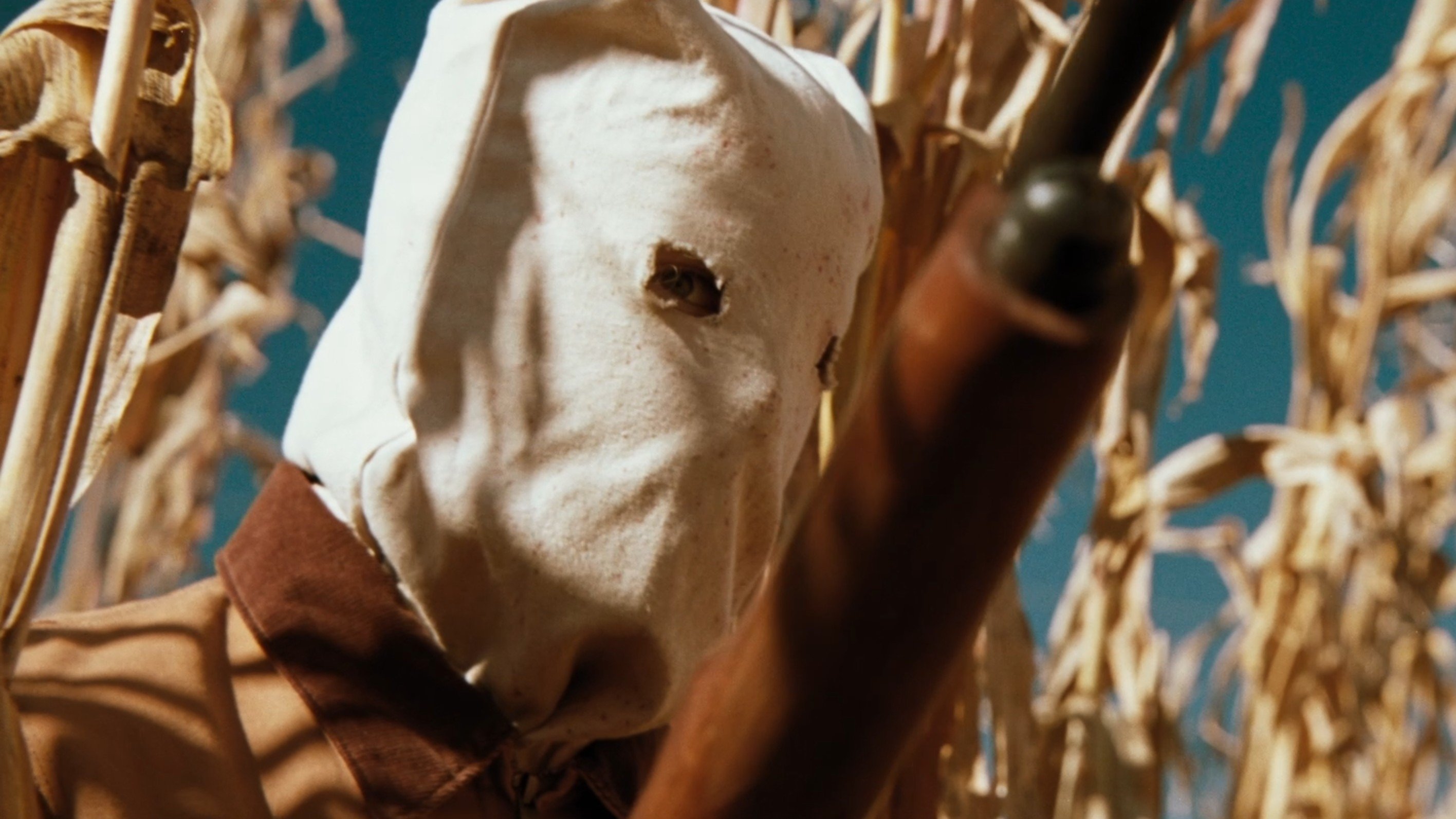 Backdrop for The Rows