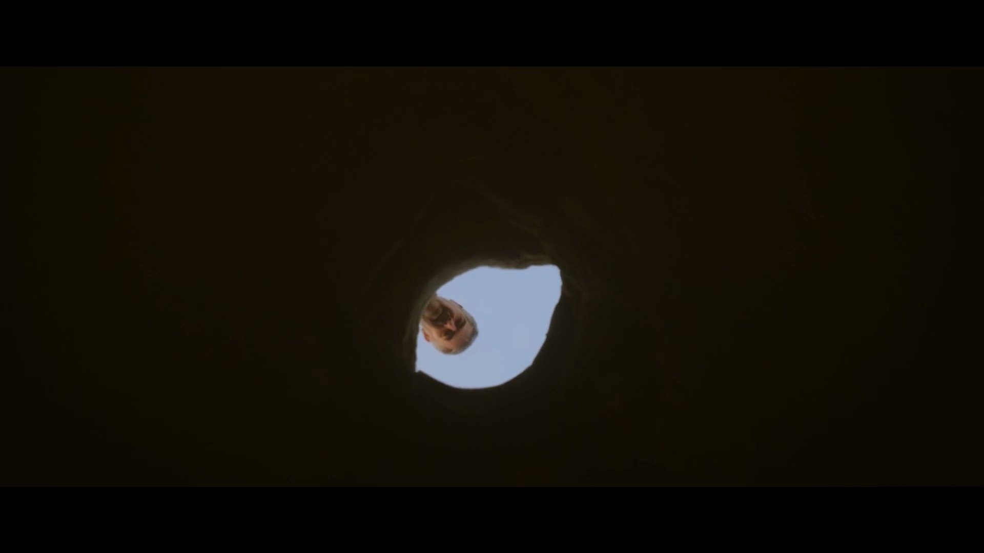 Backdrop for The Ant