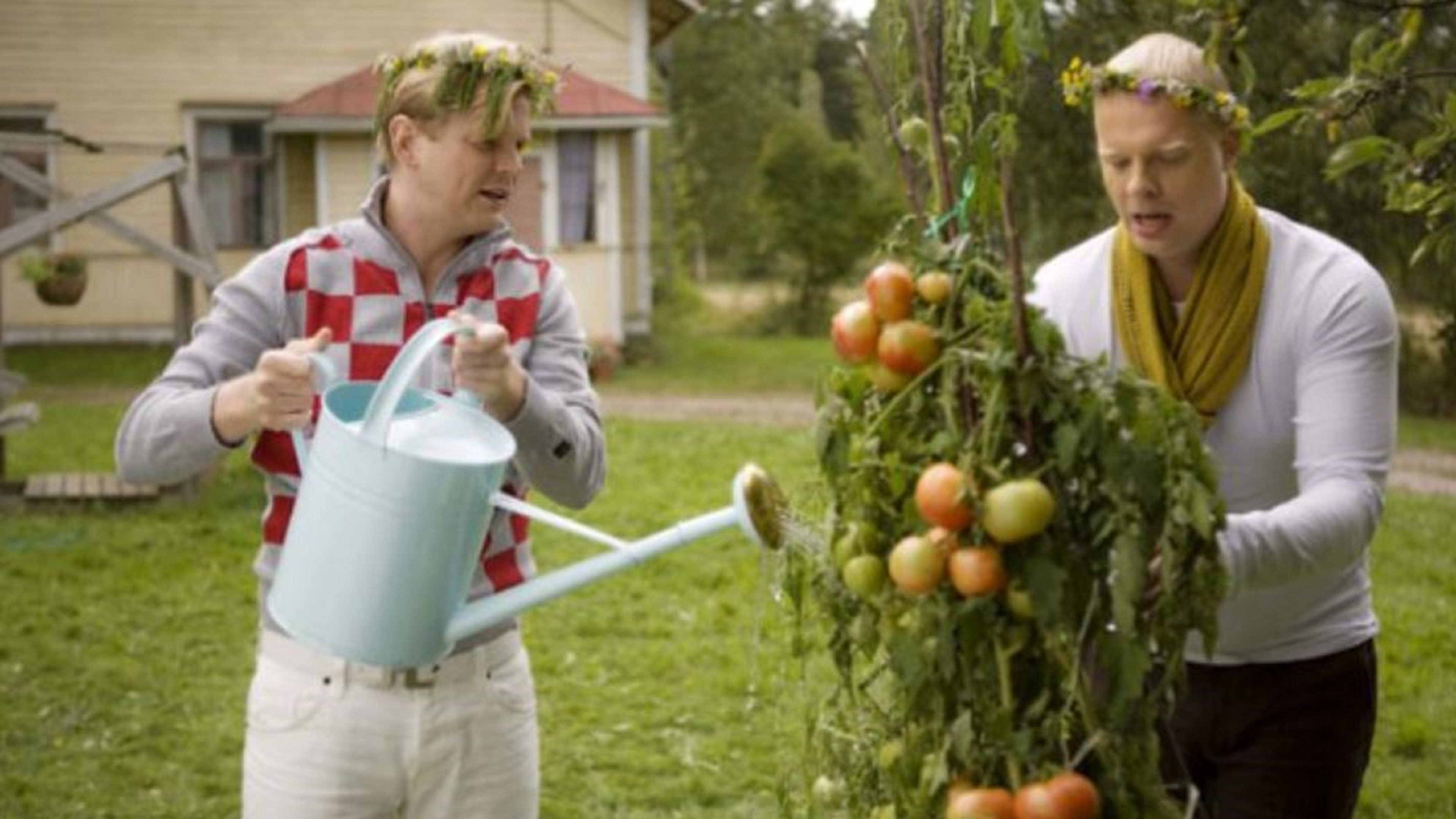 Backdrop for Juurikasvua