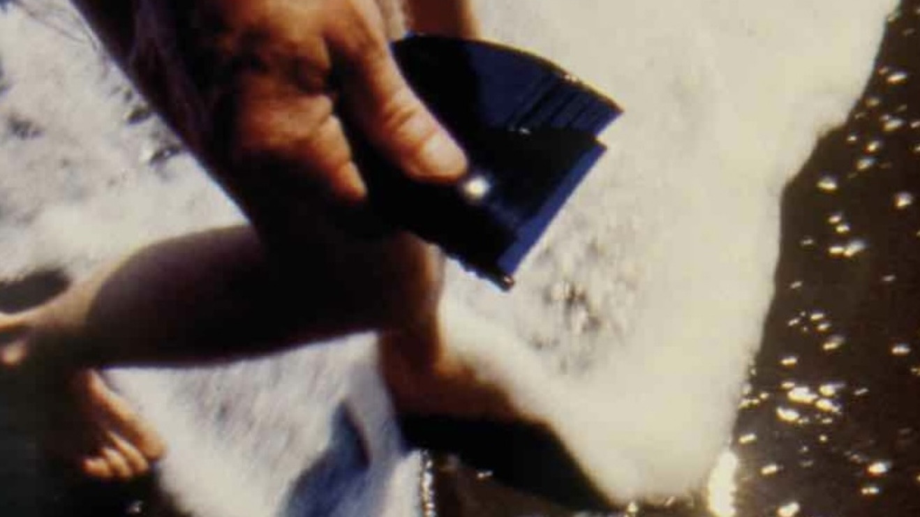 Backdrop for New Shores