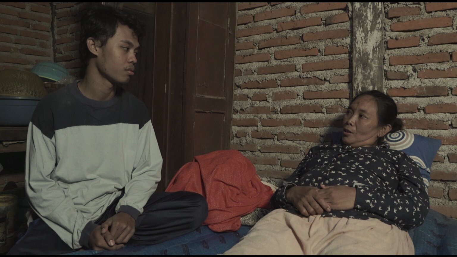 Backdrop for Fortuity