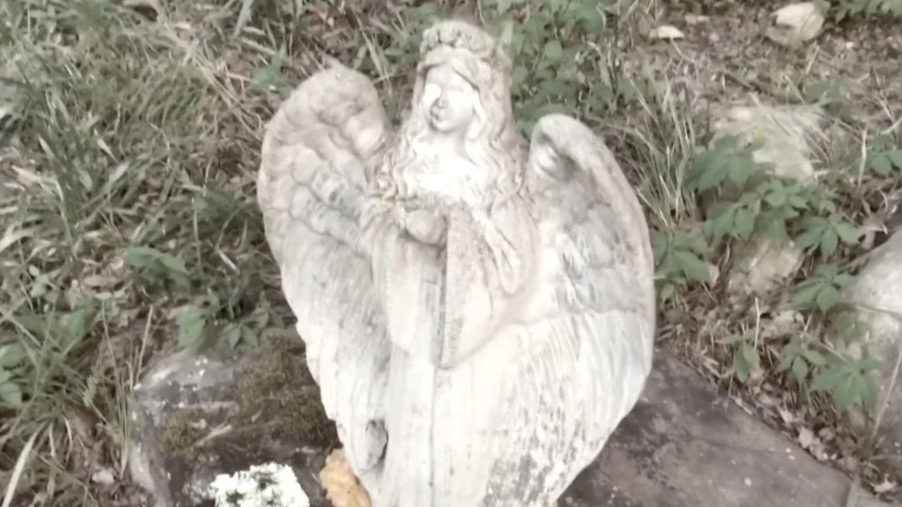 Backdrop for Black Forest