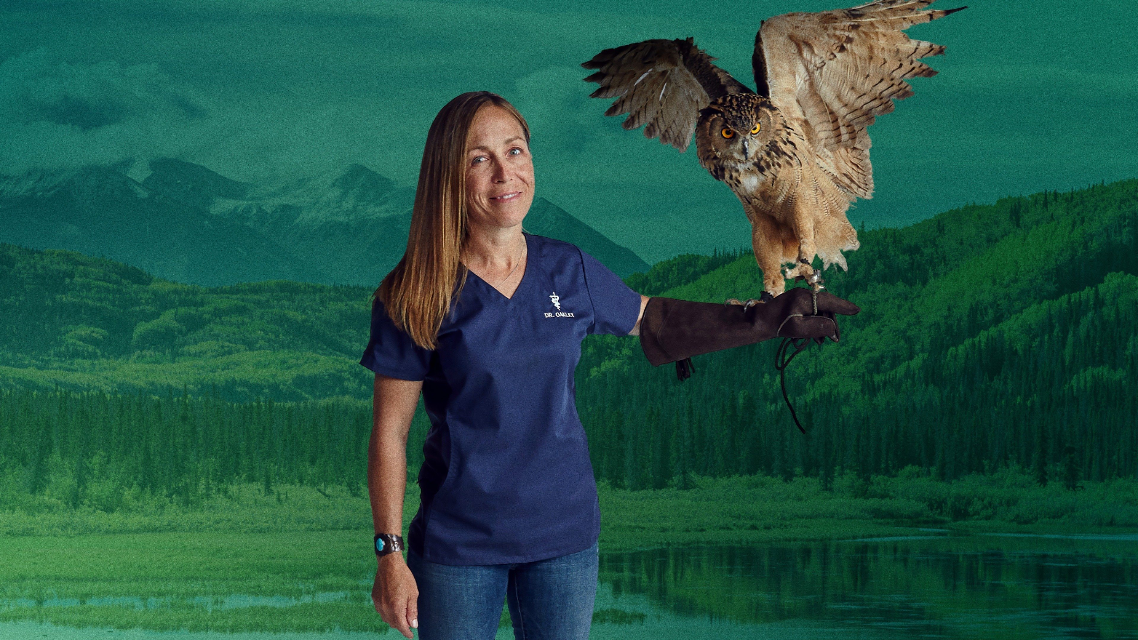 Backdrop for Dr. Oakley, Yukon Vet