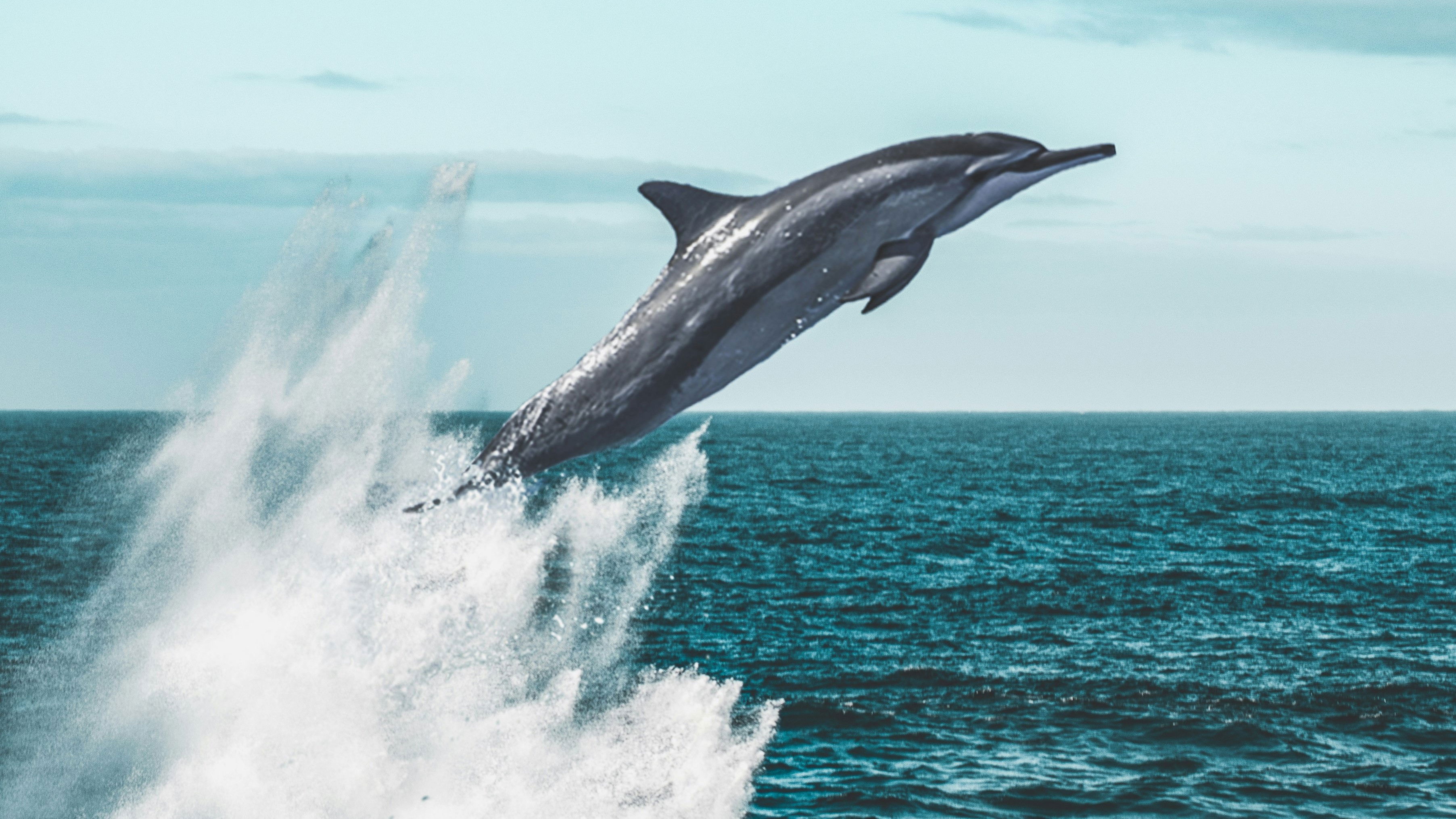 Backdrop for Living Waters