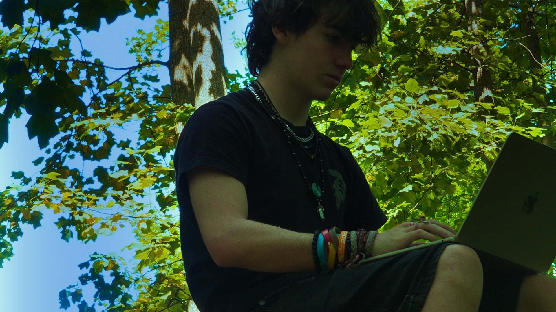 Backdrop for A Flash in The Pan