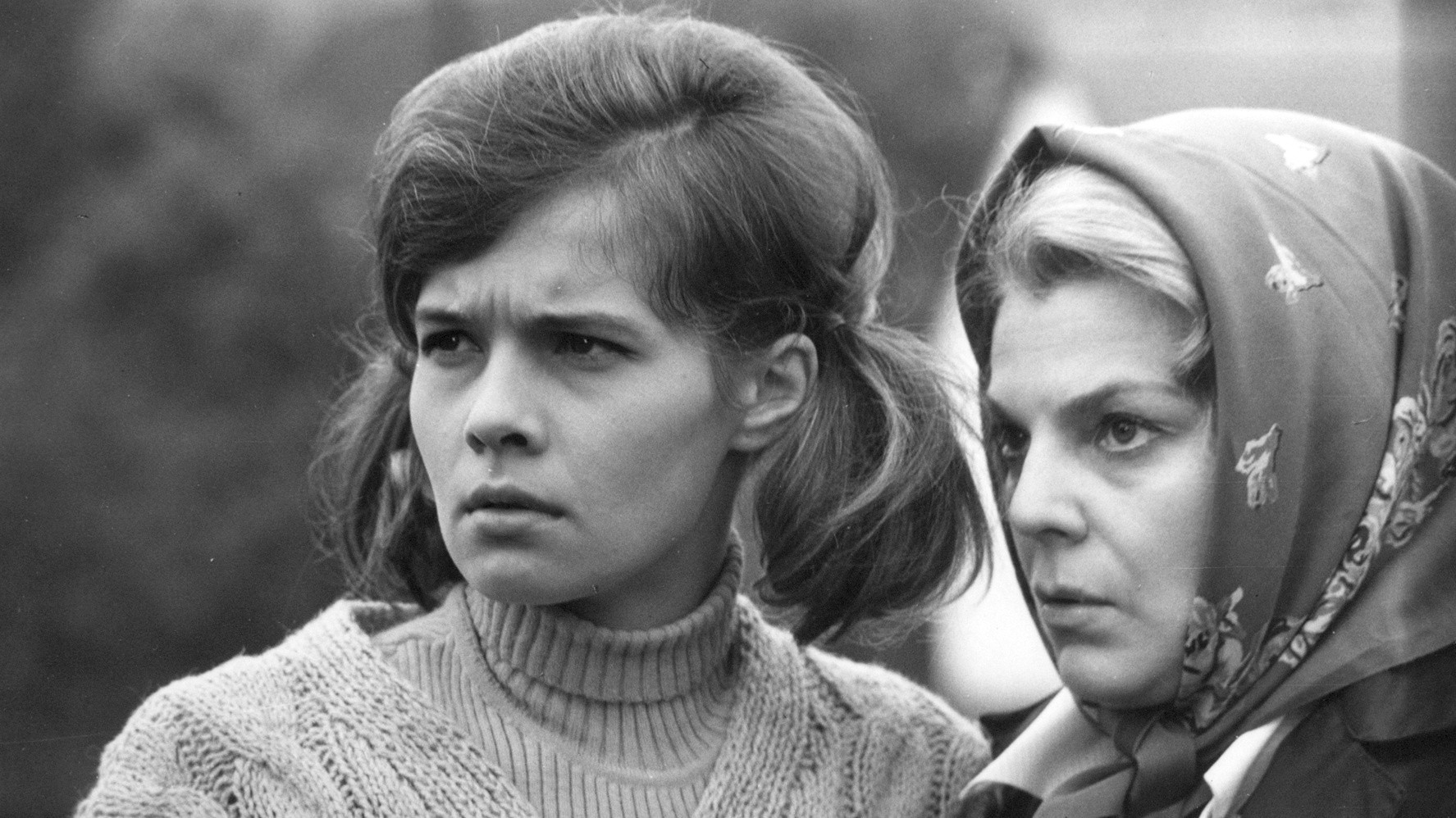 Backdrop for Long White Yard