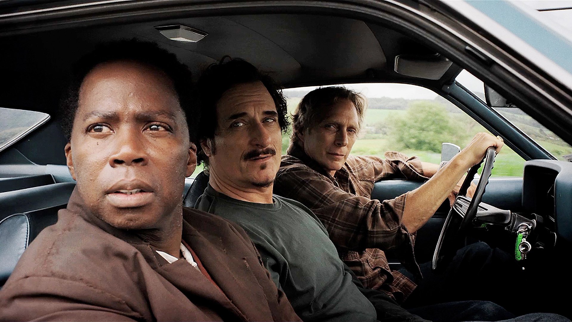 Backdrop for Cold Brook