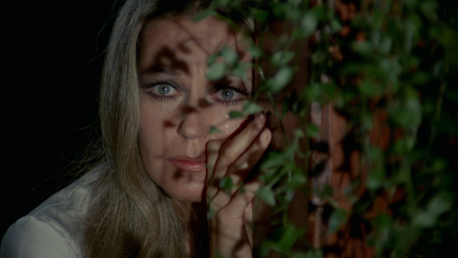 Backdrop for In the Eye of the Hurricane