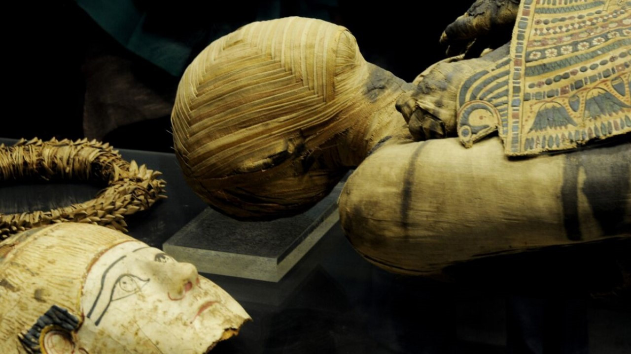 Backdrop for Momies d'Egypte, en quête d'immortalité