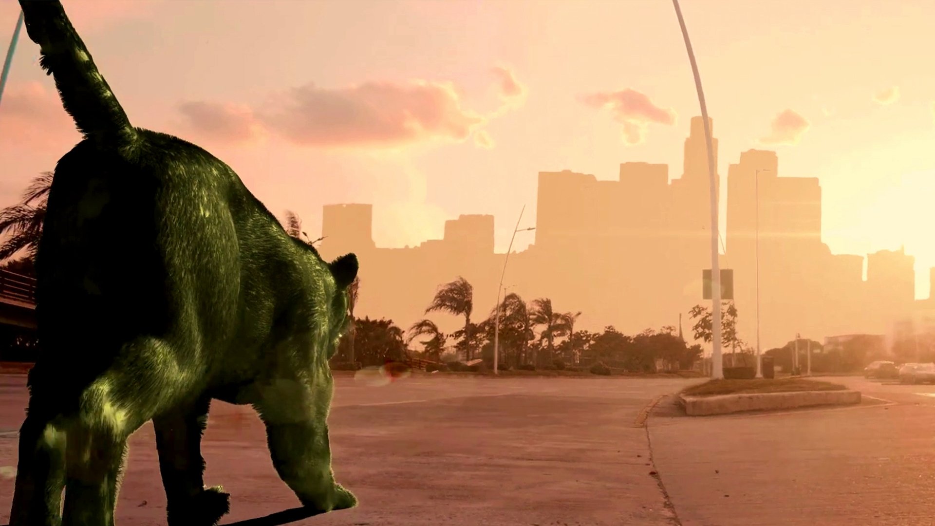 Backdrop for Cocaine Cougar