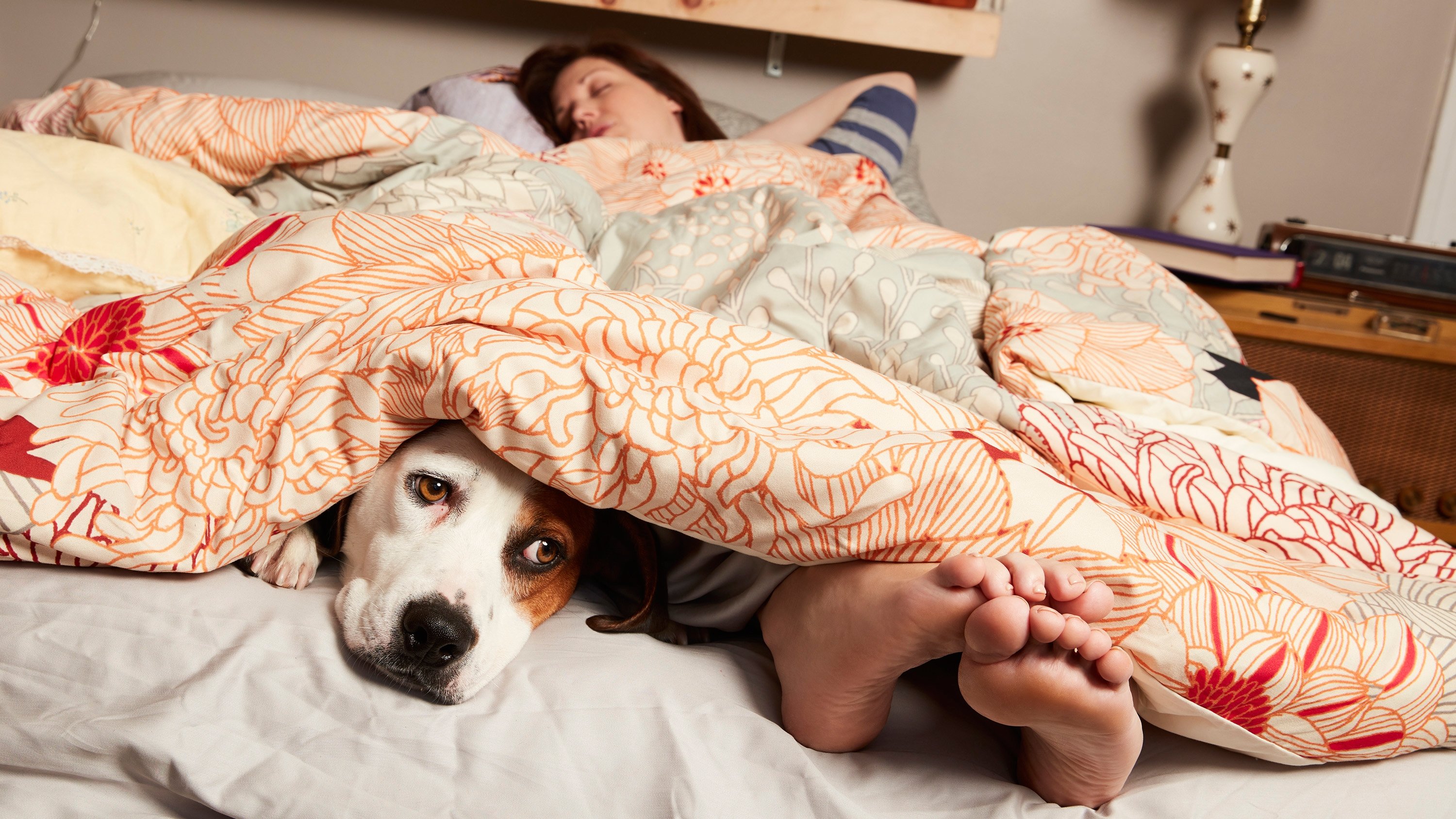 Backdrop for Downward Dog