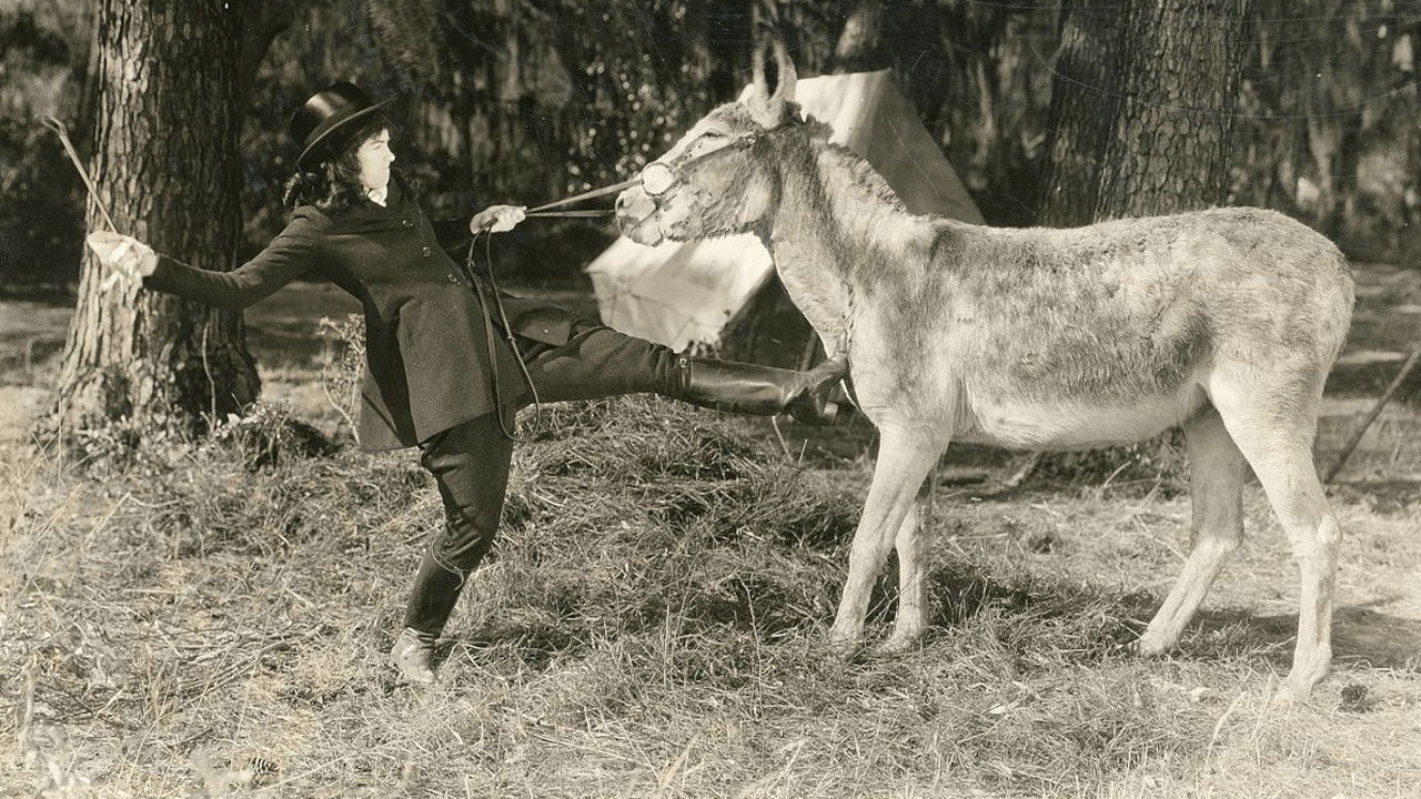 Backdrop for Little Miss Rebellion