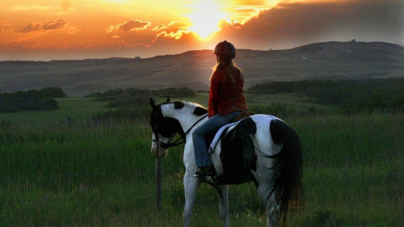 Backdrop for Moondance Alexander