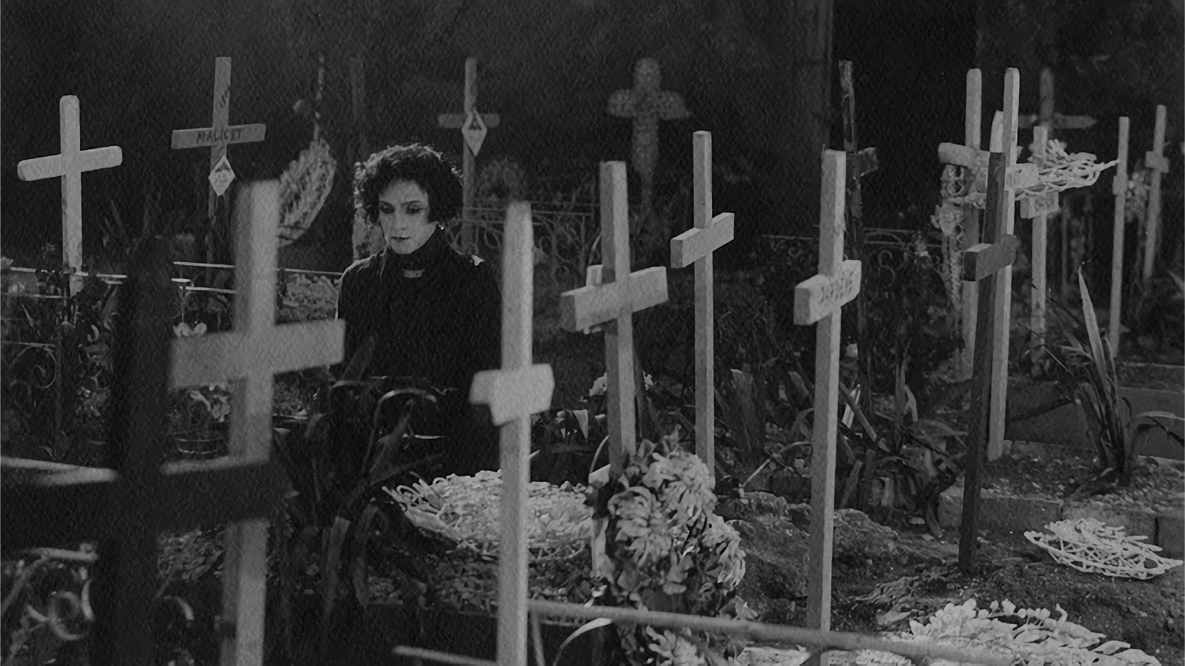 Backdrop for The Poster