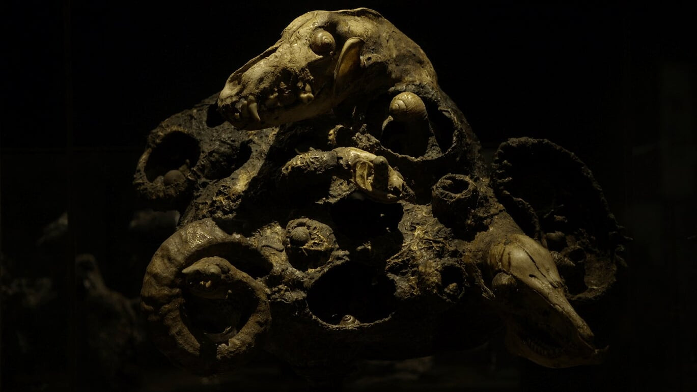 Backdrop for Alchemical Furnace