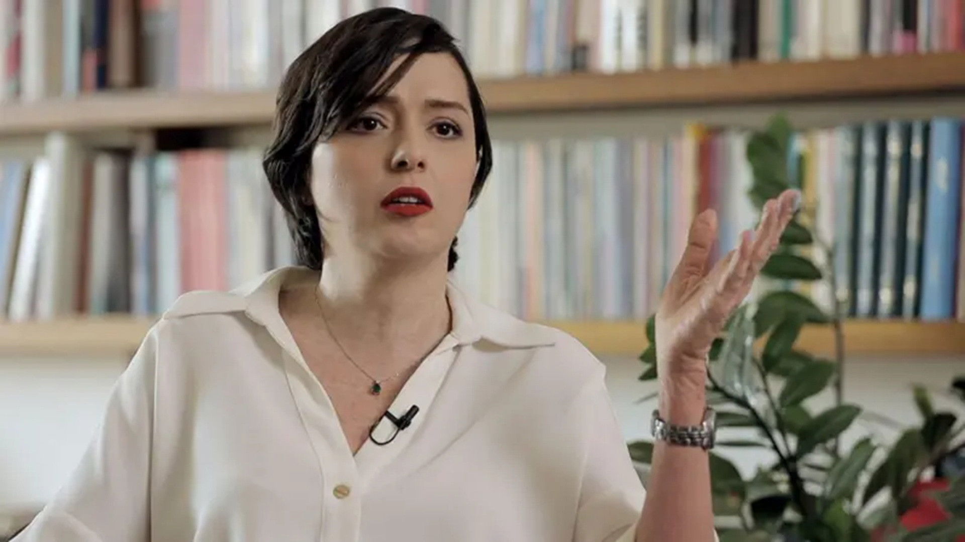 Backdrop for Taraneh: A Documentary