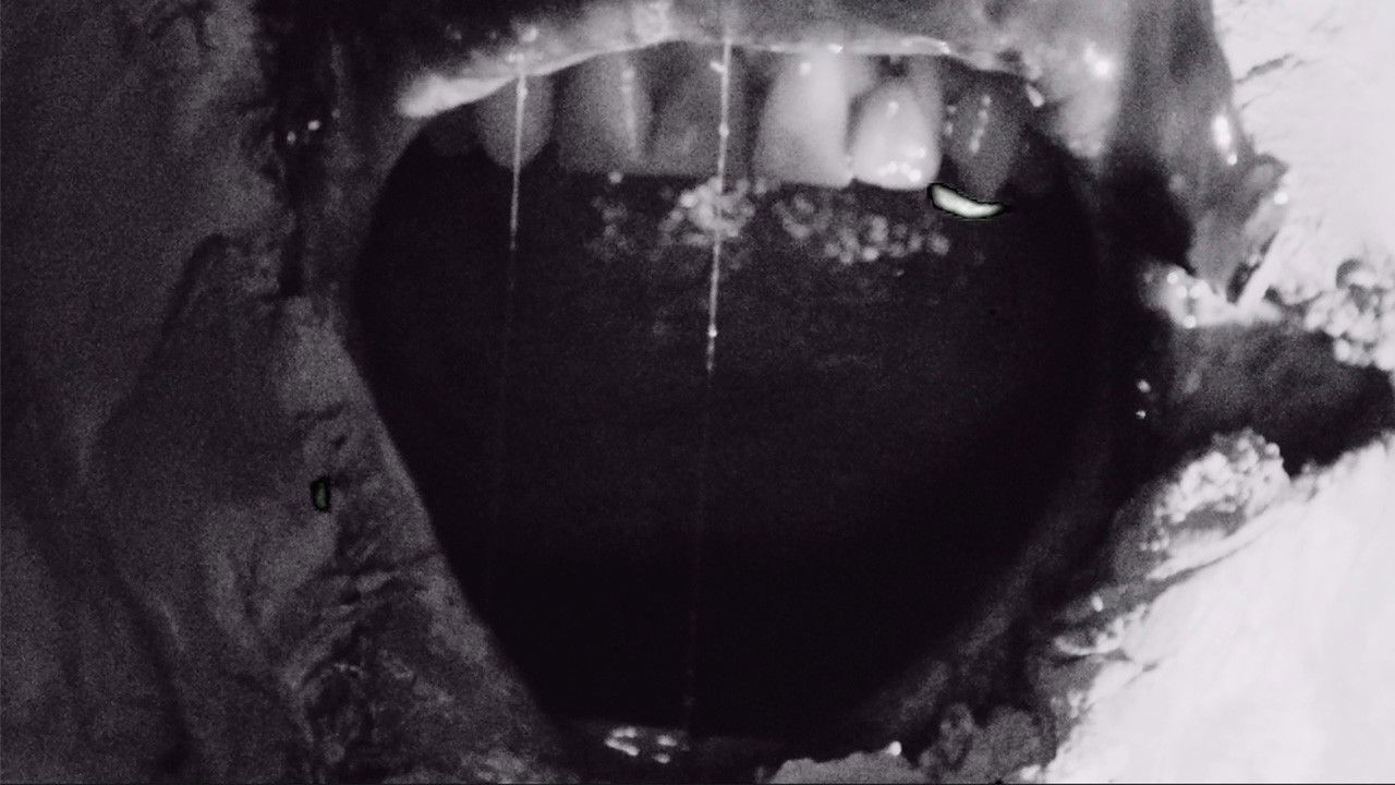 Backdrop for IIsandra In Ruin