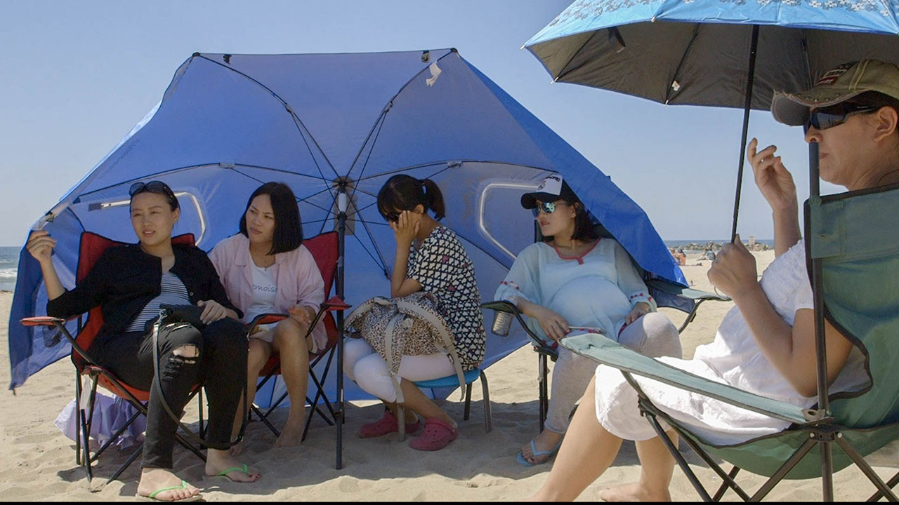 Backdrop for How to Have an American Baby