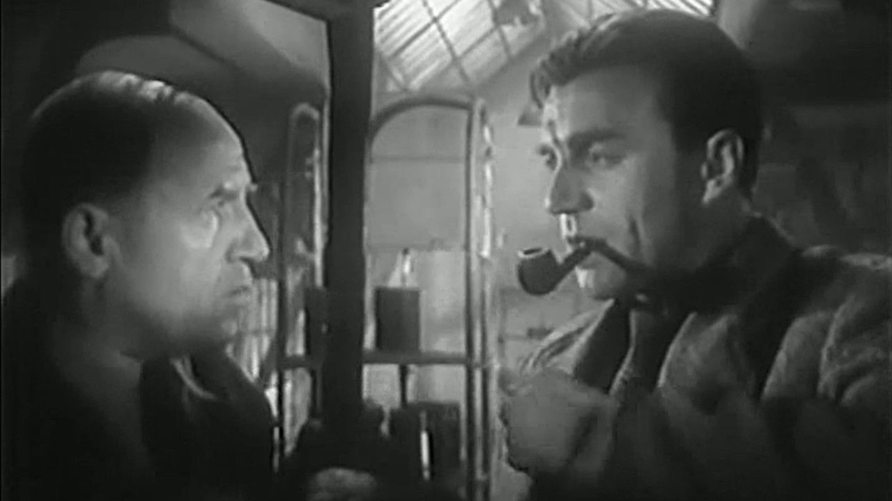 Backdrop for Battle on the Way