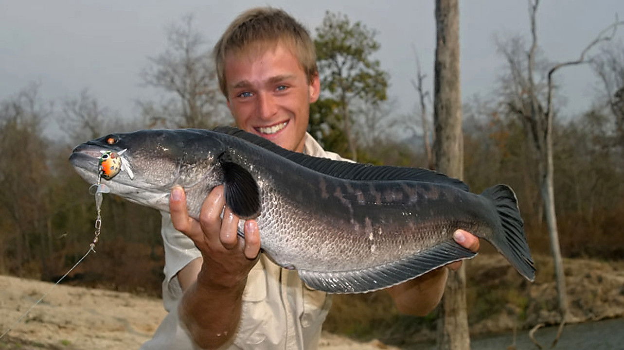 Backdrop for S Jakubem na rybách