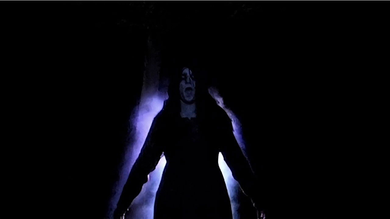 Backdrop for Abnormis