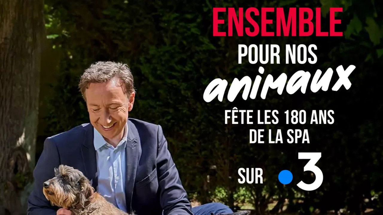 Backdrop for Ensemble pour nos animaux - fête les 180 ans de la SPA