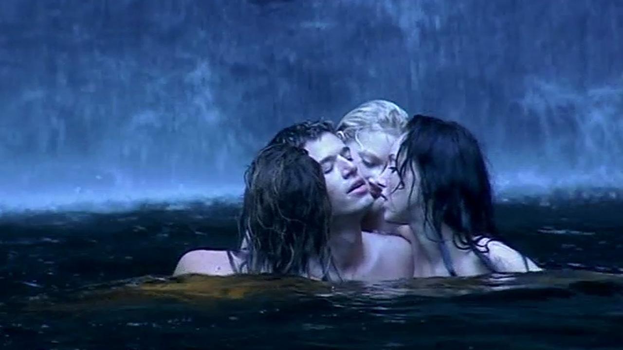 Backdrop for Forest of the Damned