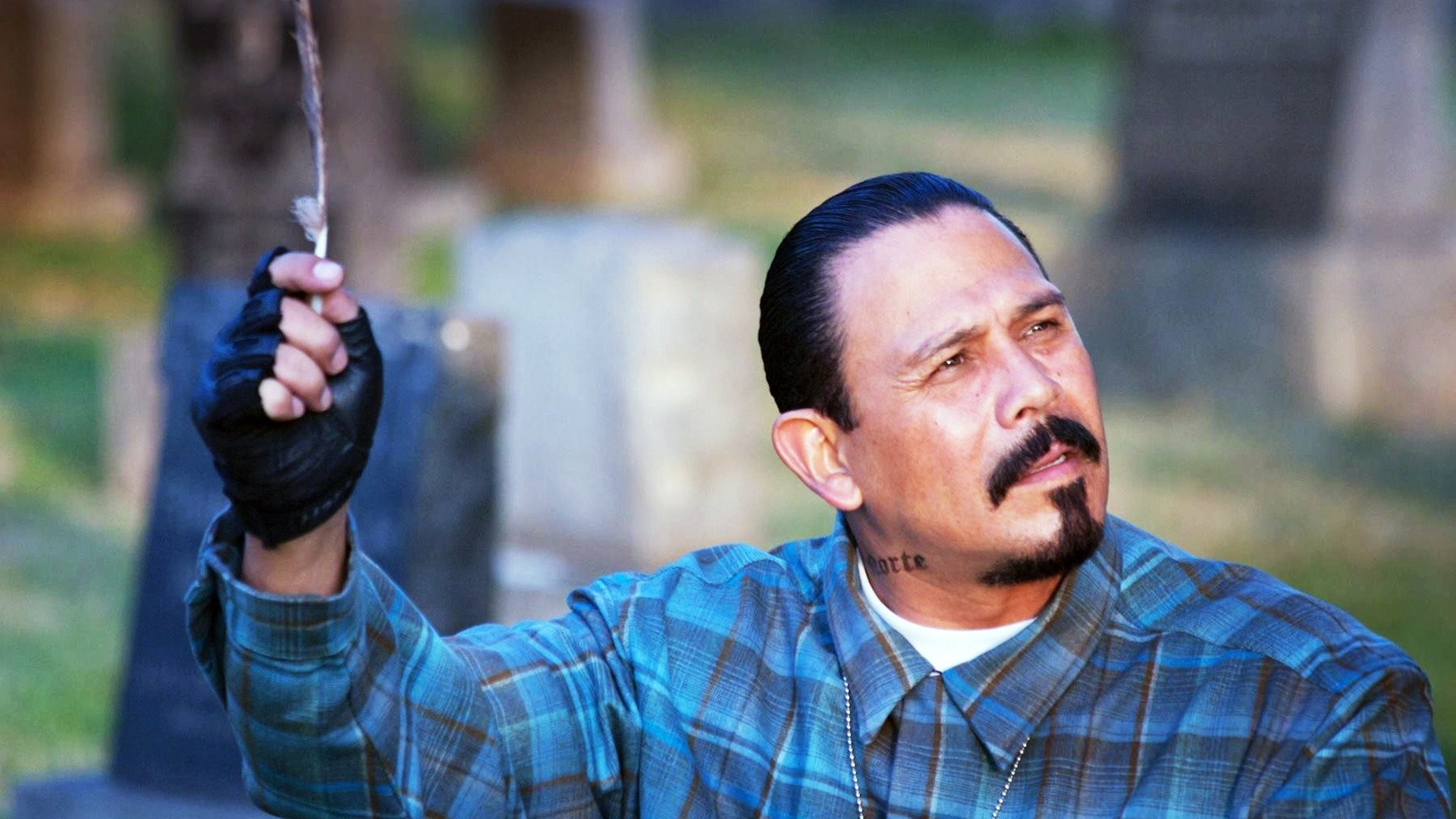 Backdrop for Water & Power