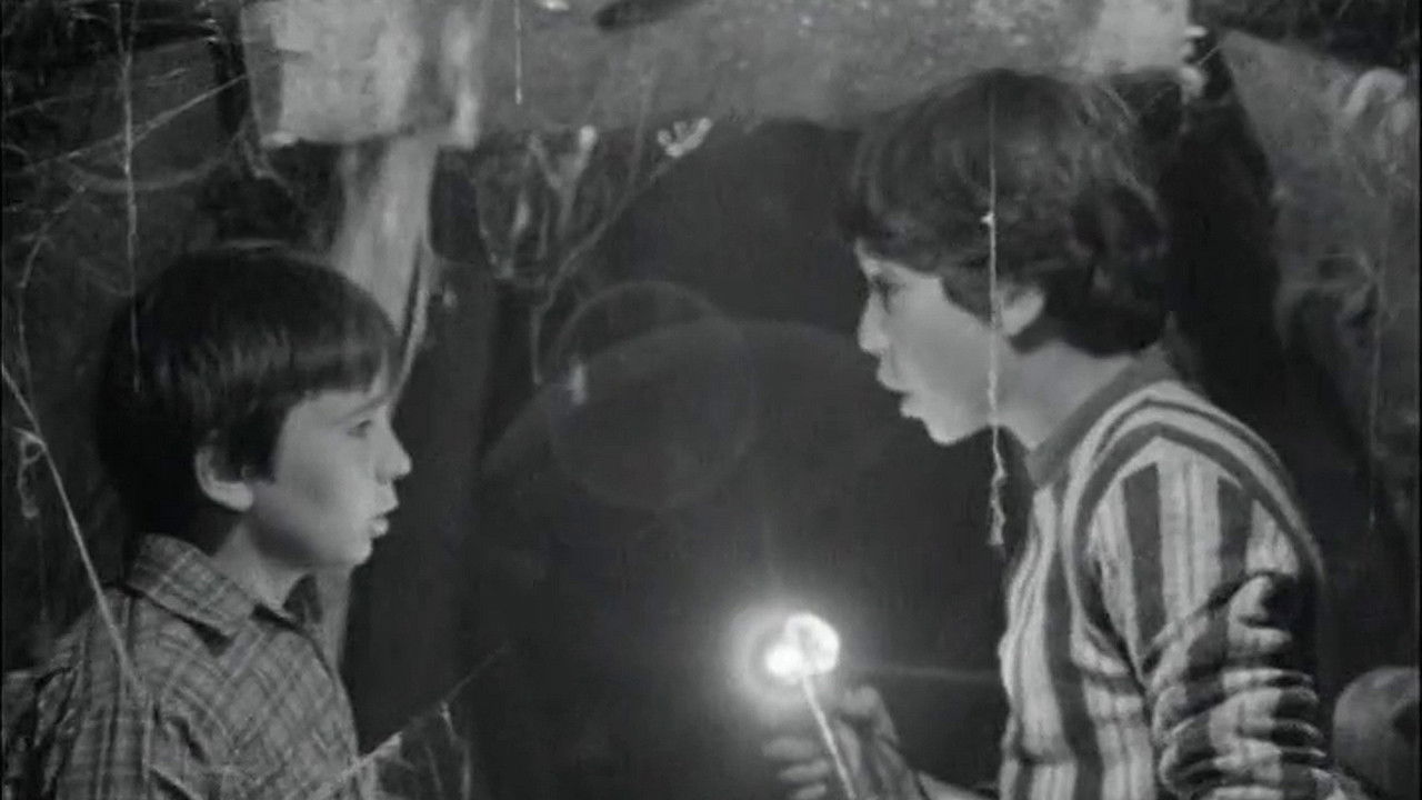 Backdrop for The Secret of the Old Mine