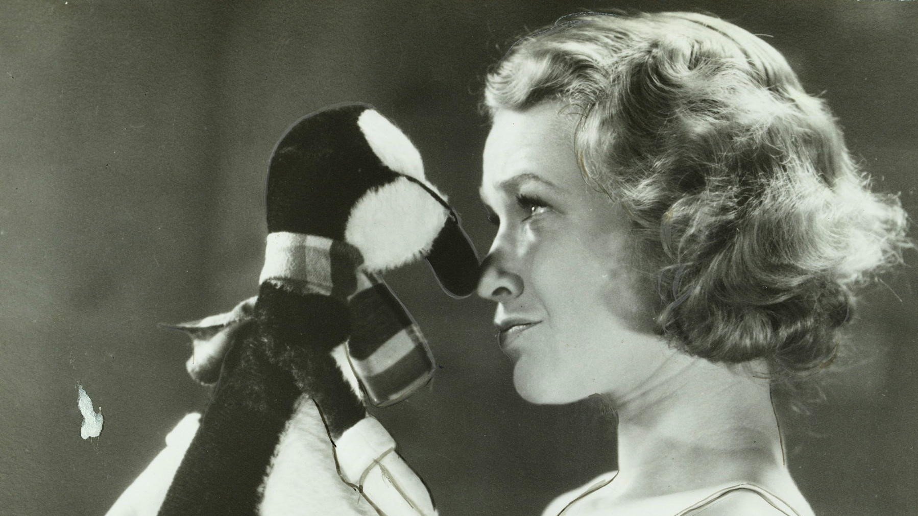 Backdrop for You have promised me a wife!