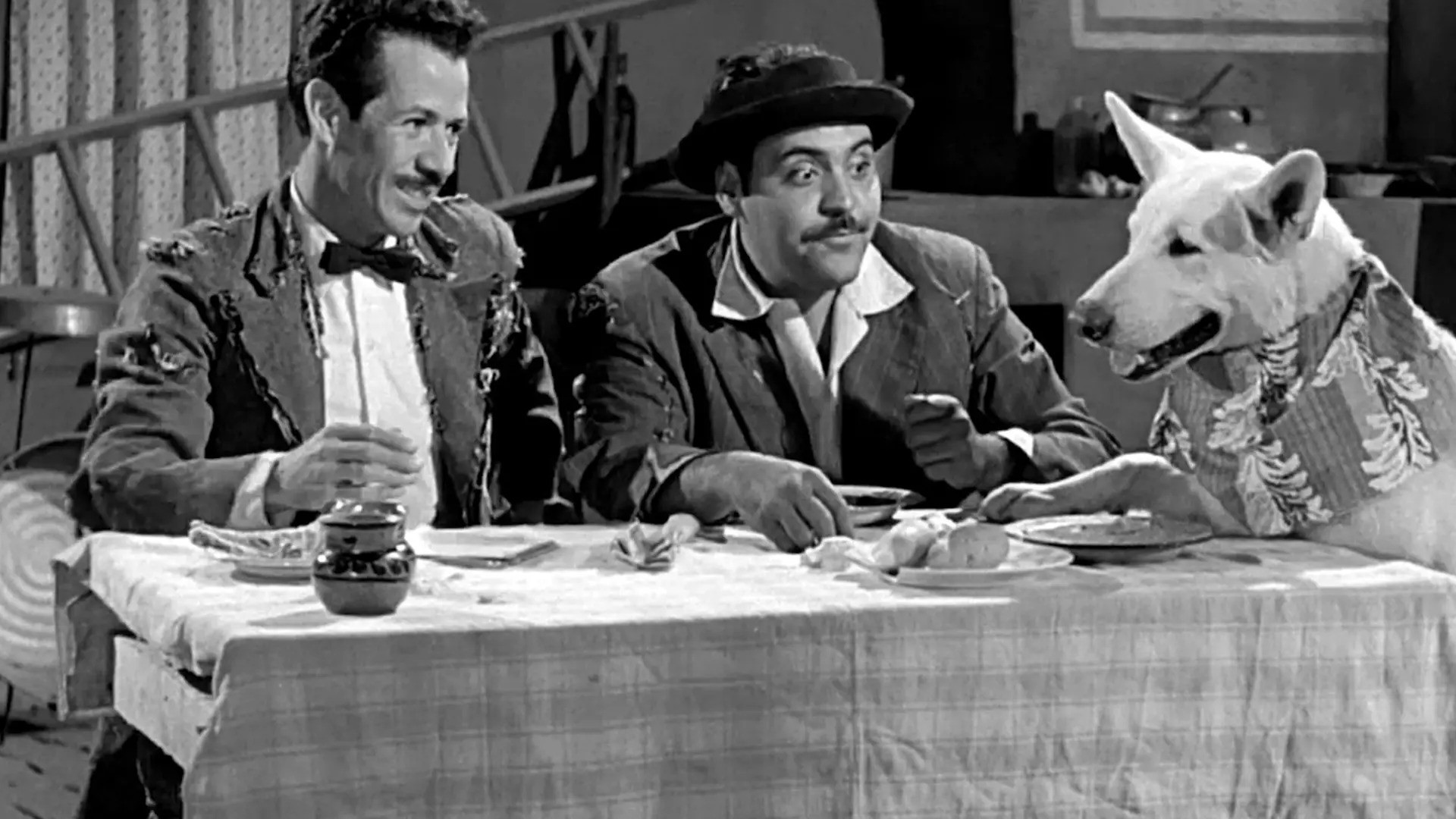 Backdrop for Qué perra vida