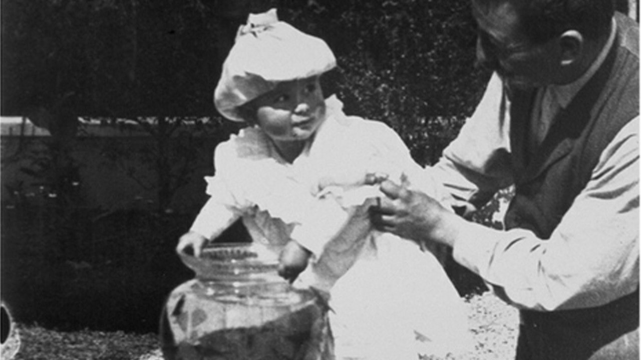 Backdrop for Fishing for Goldfish