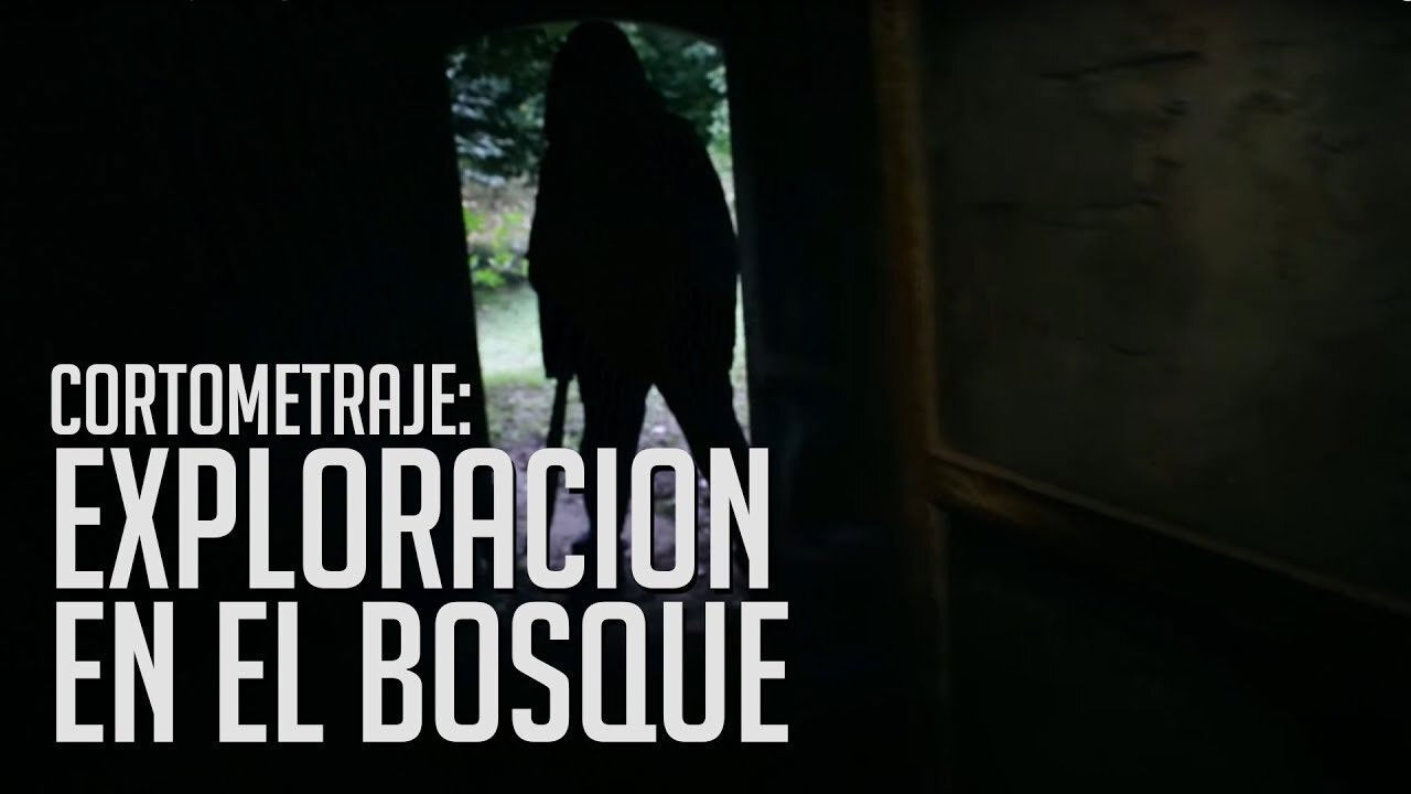 Backdrop for Tragic Search in the Woods