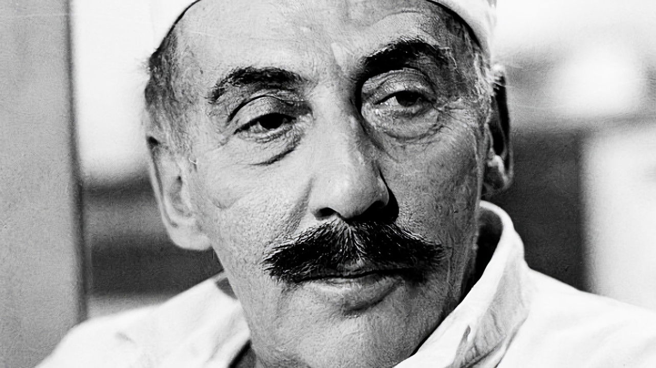 Backdrop for Cesta na Borneo