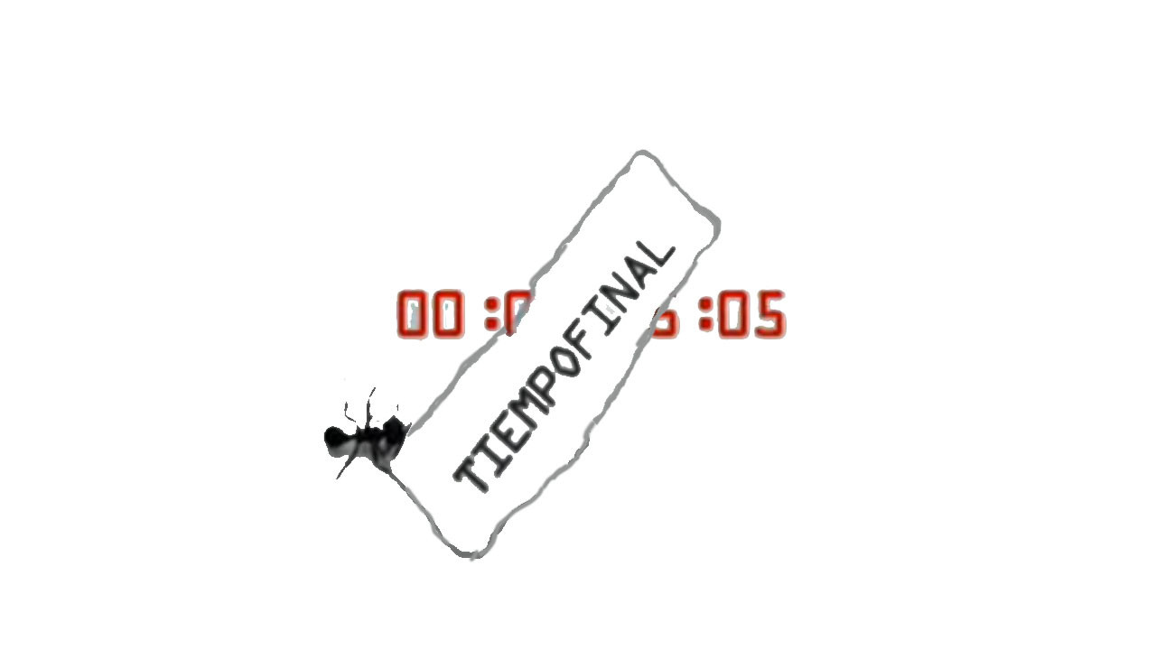 Backdrop for Tiempo final