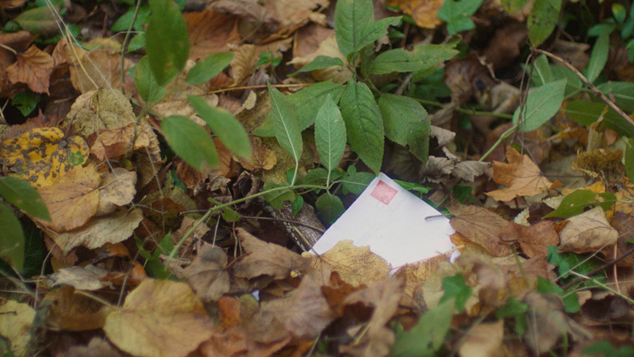 Backdrop for Papercut